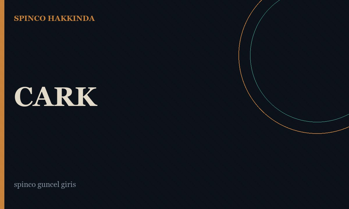 Spinco haqqında